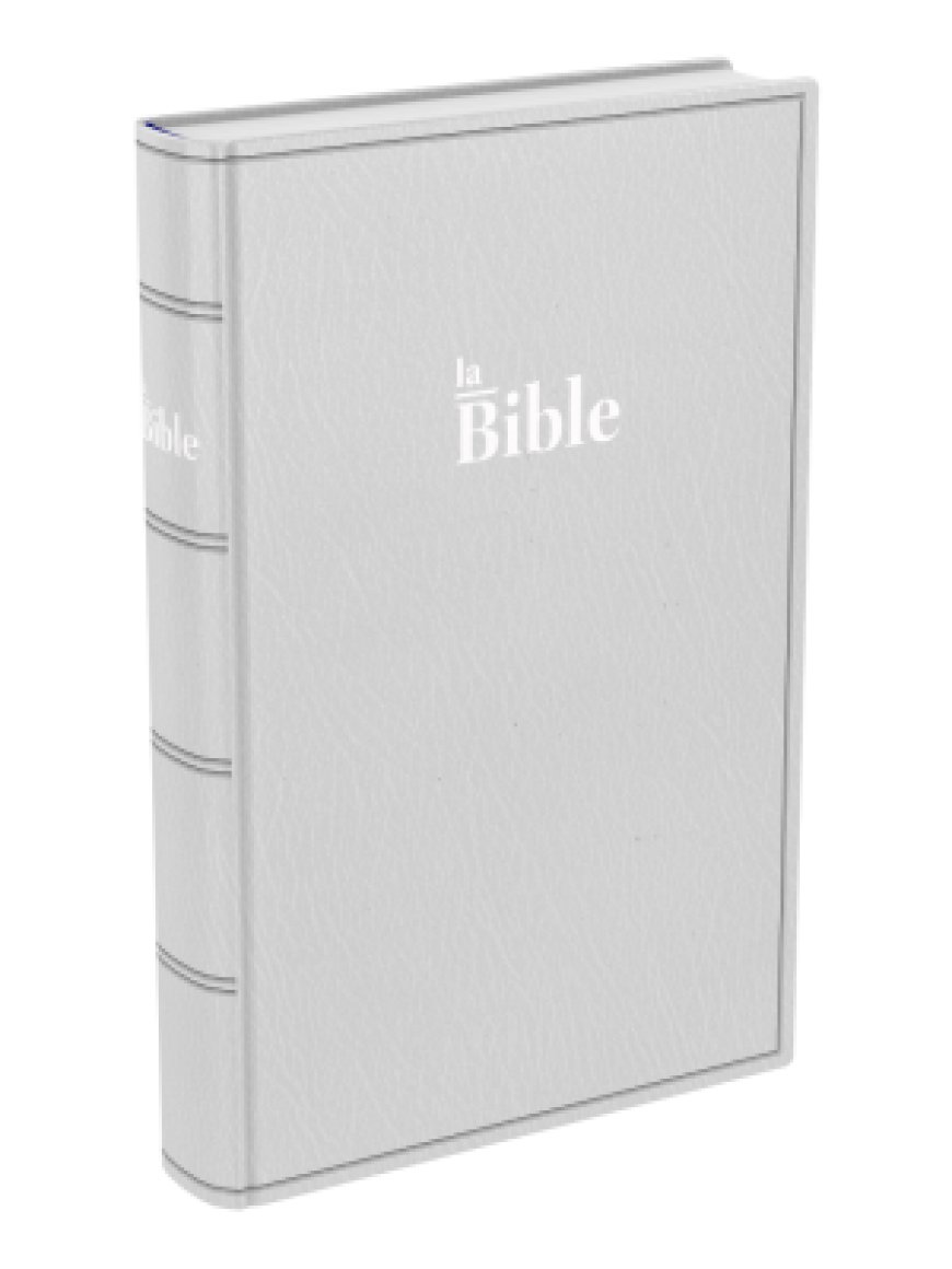 Image #0 du produit Bible Darby moyen souple grise