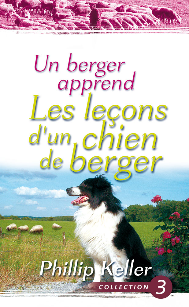 Un berger apprend les leçons d'un chien de berger